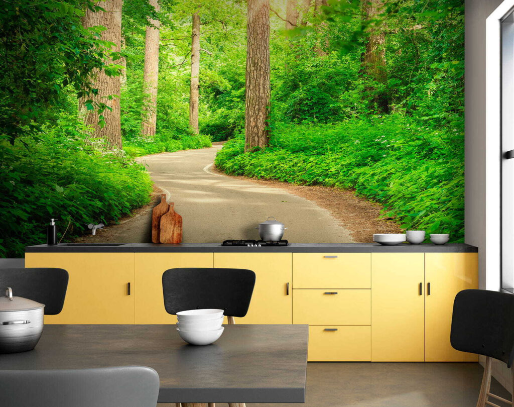 Road through a forest Road through a forest