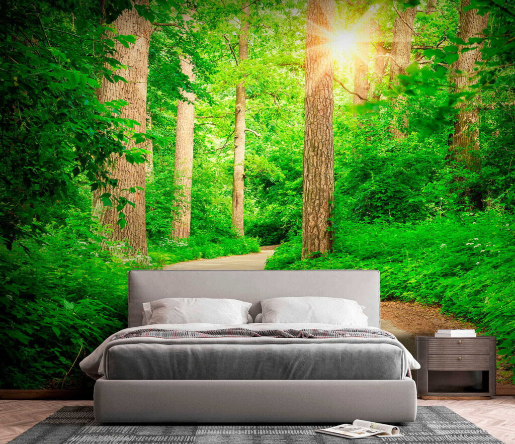 Road through a forest Road through a forest