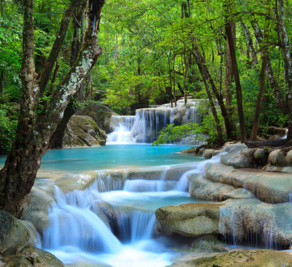 Chute d'eau dans une forêt Chute d'eau dans une forêt