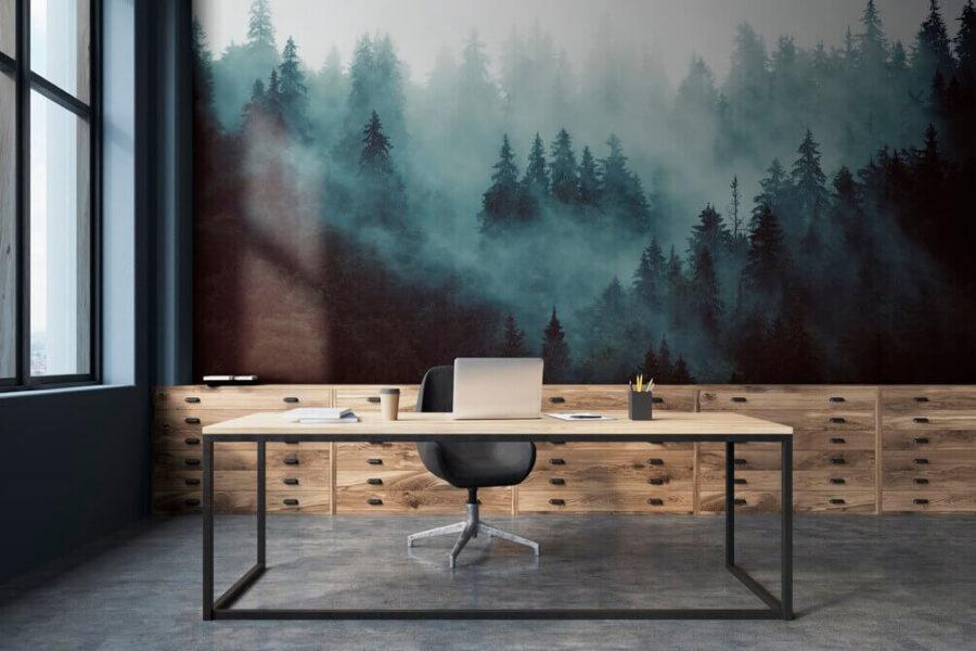 Forêt brumeuse avec des arbres Forêt brumeuse avec des arbres