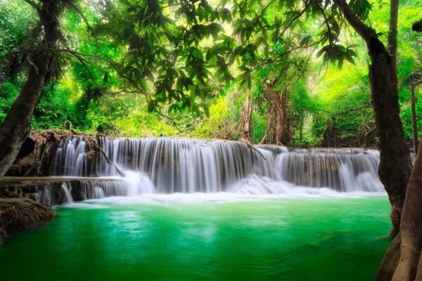 Chute d'eau dans une forêt Chute d'eau dans une forêt
