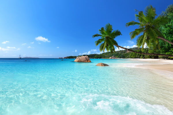 Plage avec palmiers et eau bleue Plage avec palmiers et eau bleue