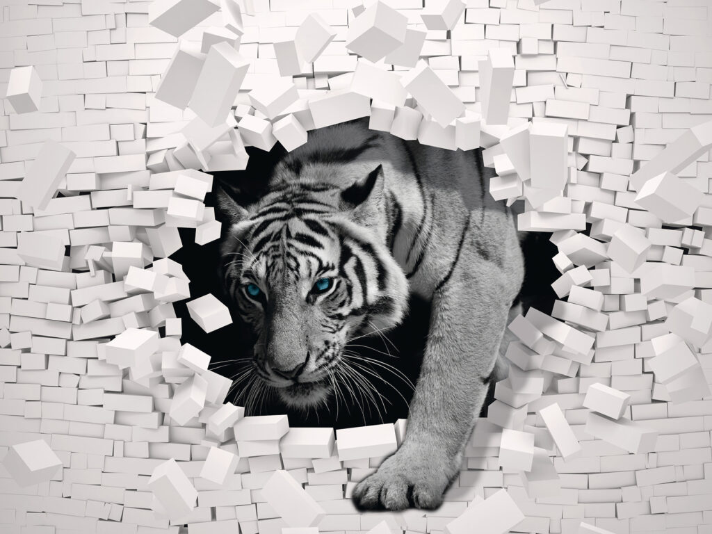 Tigre sortant d'un mur Tigre sortant d'un mur