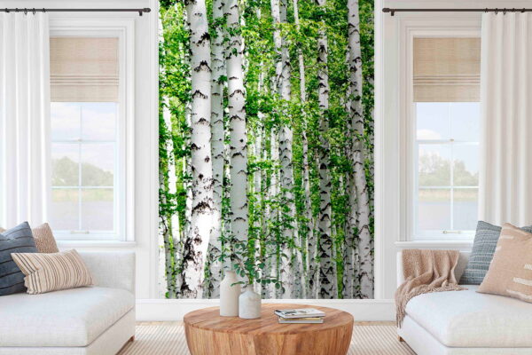 Groupe d'arbres aux feuilles vertes Groupe d'arbres aux feuilles vertes