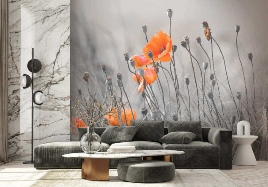 Fleurs orange dans un champ