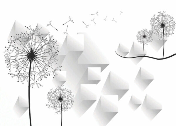 Fleurs de pissenlit sur fond blanc Fleurs de pissenlit sur fond blanc