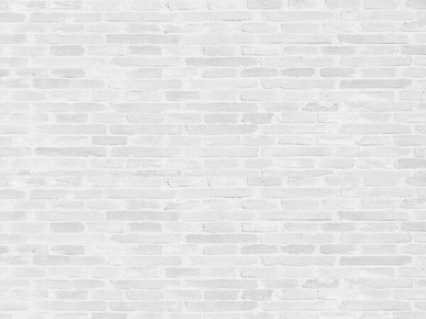 Mur de briques blanches avec de nombreuses briques rectangulaires u53030p 600x450 - Mur de briques blanches avec de nombreuses briques rectangulaires - tegory