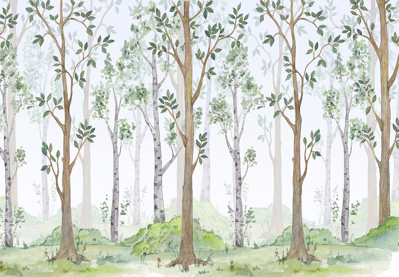 Watercolor painting of trees and grass Watercolor painting of trees and grass