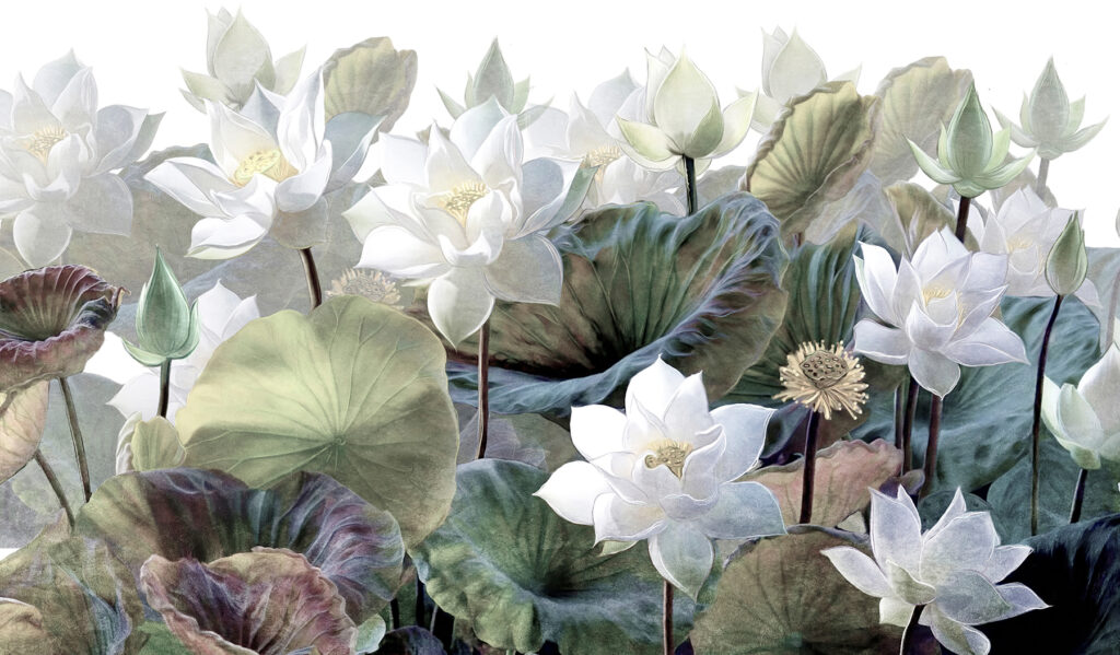 Groupe de fleurs blanches et de feuilles vertes Groupe de fleurs blanches et de feuilles vertes