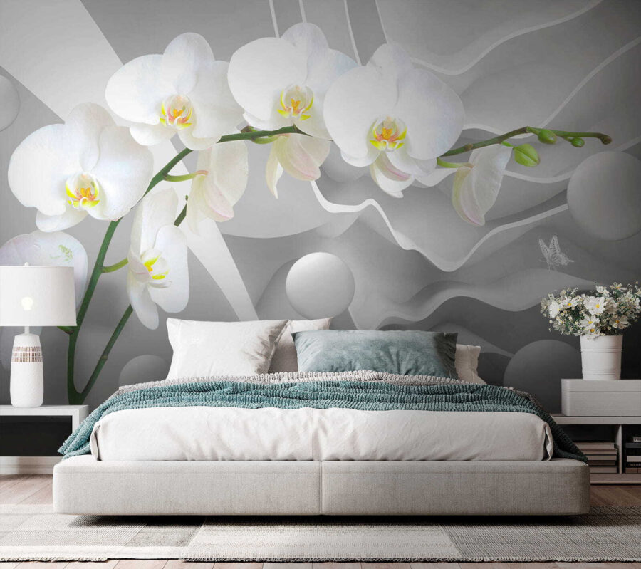 Orchidées blanches et boules blanches