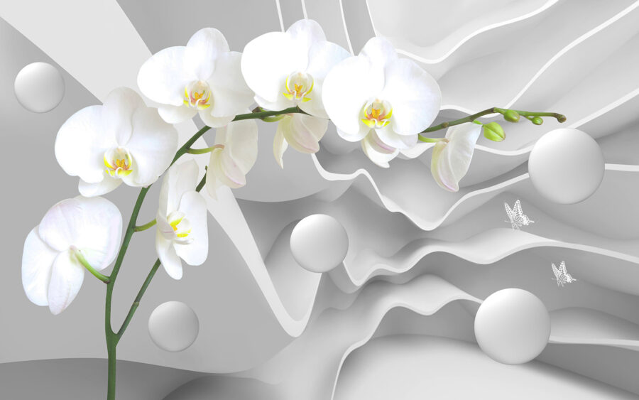 Orchidées blanches et boules blanches