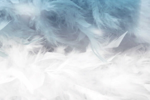 Des textures douces dans des couleurs apaisantes. Des textures douces dans des couleurs apaisantes.
