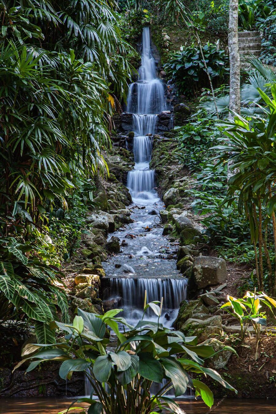 Chute d'eau dans la jungle