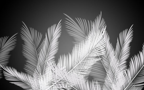 Plumes blanches sur fond noir Plumes blanches sur fond noir