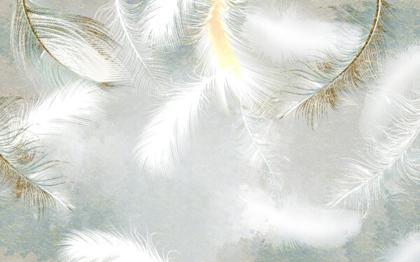 Plumes blanches dans le ciel Plumes blanches dans le ciel