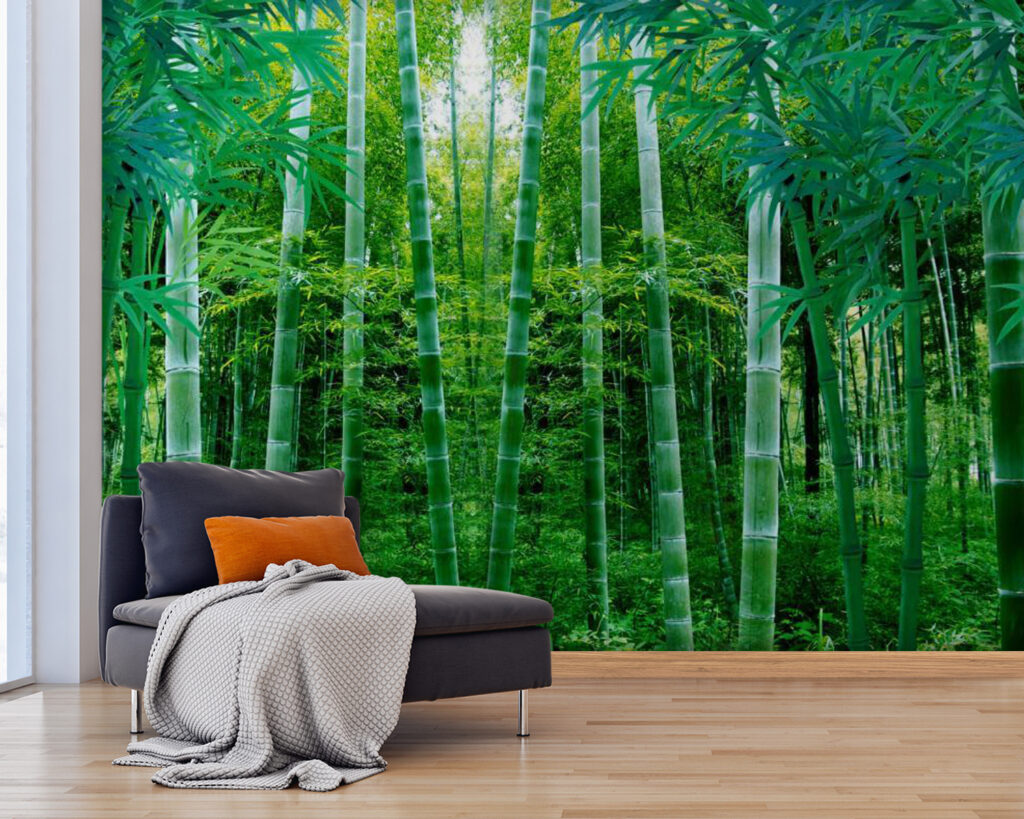 Group of bamboo trees