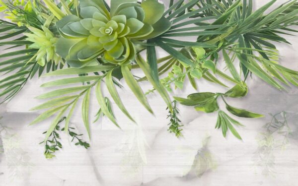 Plante verte avec feuilles Plante verte avec feuilles