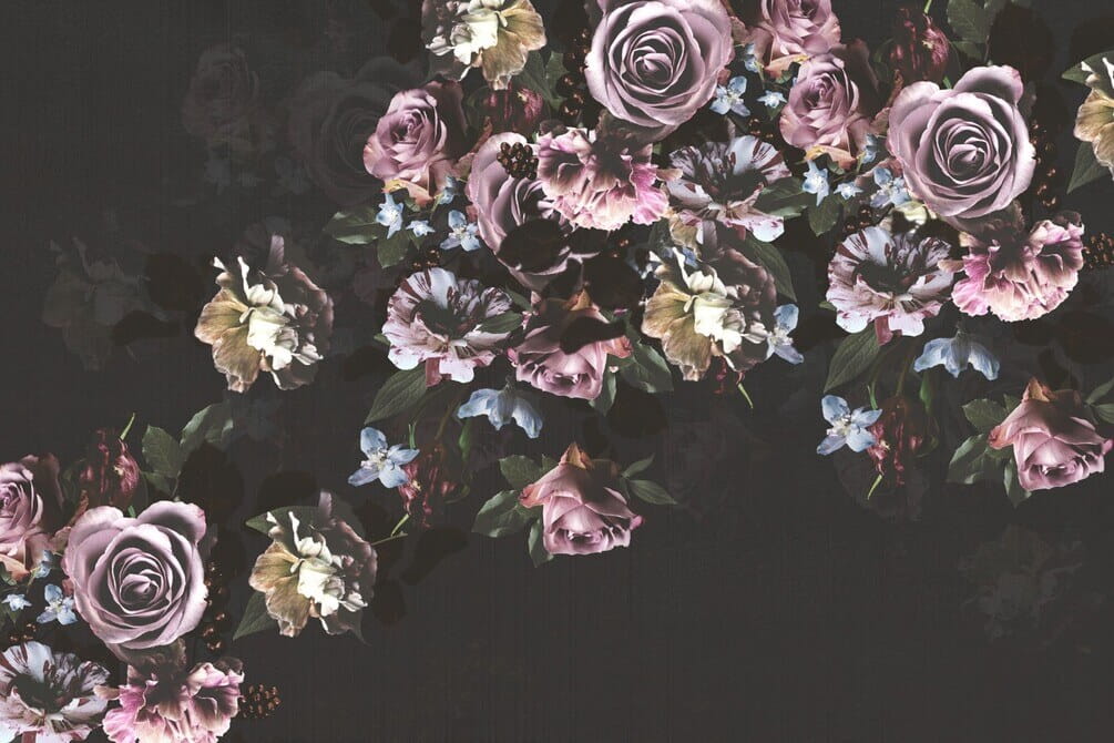 Groupe de fleurs sur fond noir Groupe de fleurs sur fond noir