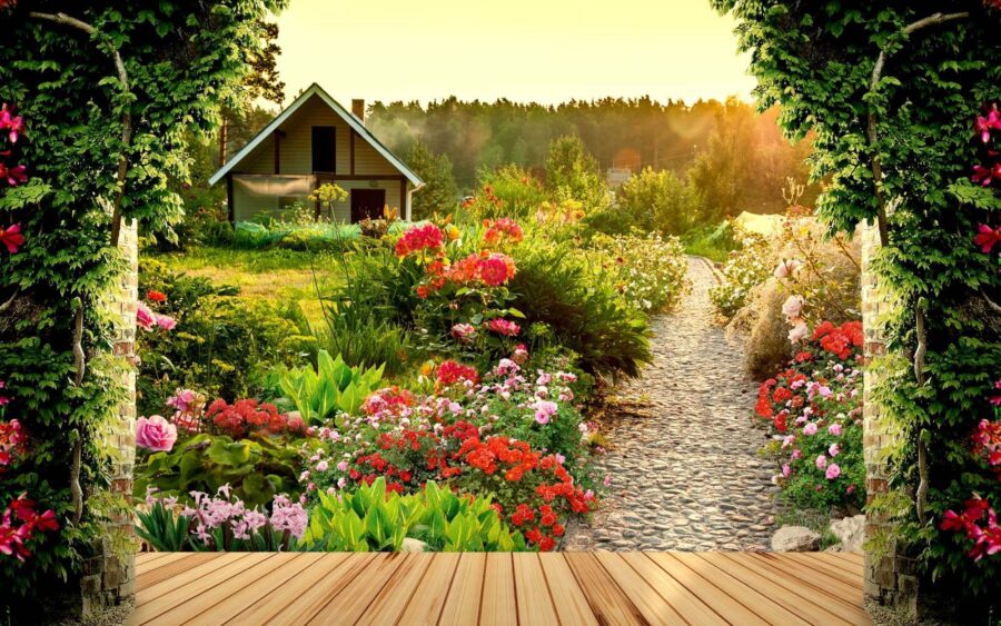Jardin avec des fleurs et une maison