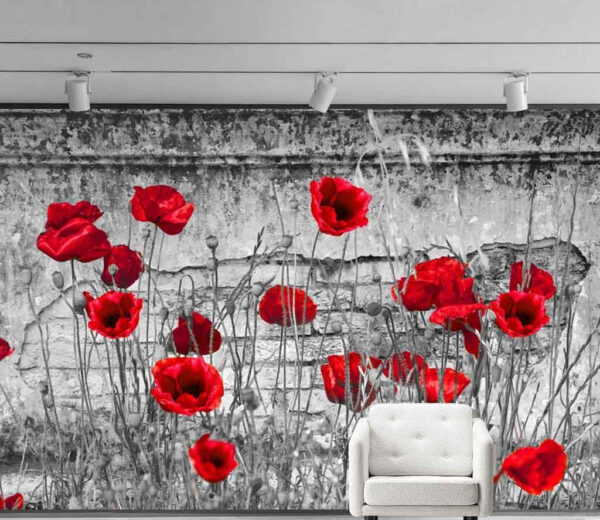 Fleurs rouges dans un champ Fleurs rouges dans un champ