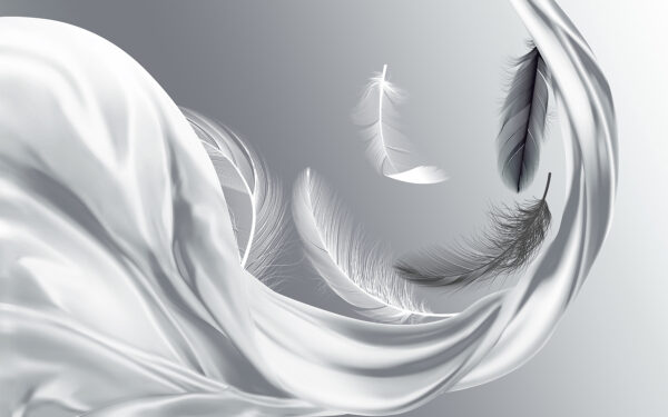 Plumes blanches volant dans l'air Plumes blanches volant dans l'air