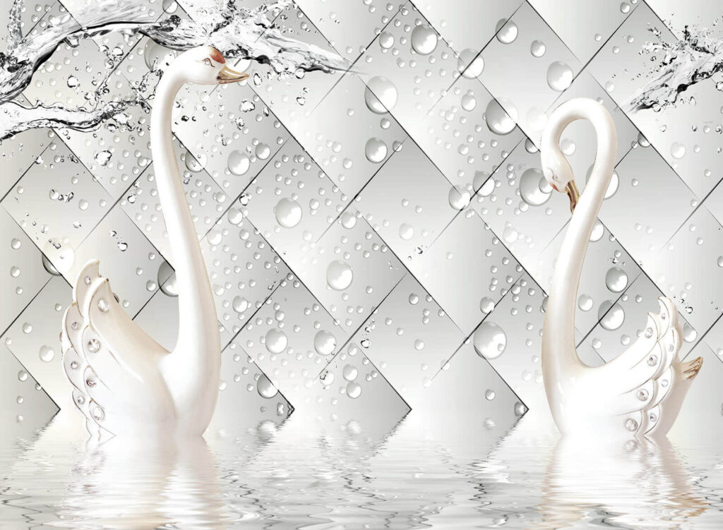 Cygnes blancs dans l'eau u37125p 1024x751 - Cygnes blancs dans l'eau - tegory