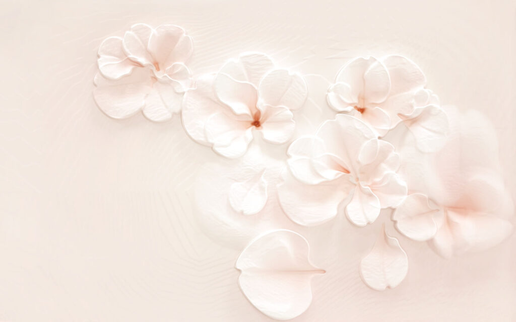 Groupe de fleurs blanches Groupe de fleurs blanches