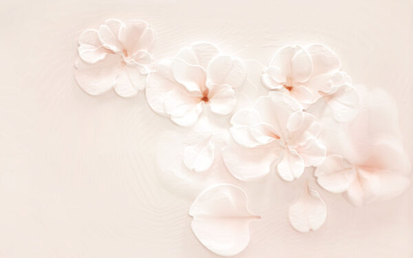 Groupe de fleurs blanches Groupe de fleurs blanches