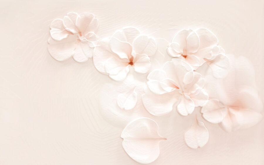 Groupe de fleurs blanches Groupe de fleurs blanches