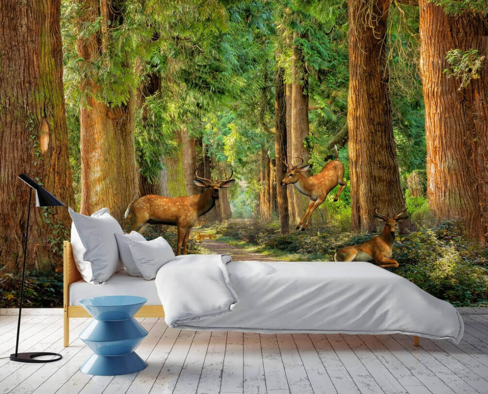 u37019pib1m - Groupe de cerfs dans une forêt - tegory