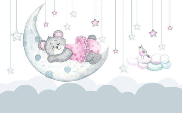 Ourson dormant sur la lune Ourson dormant sur la lune