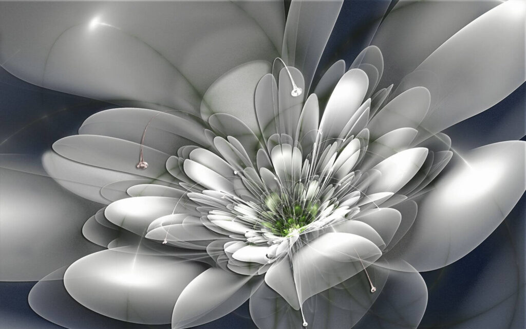 u36925p 1024x640 - Fleur blanche avec centre vert - tegory