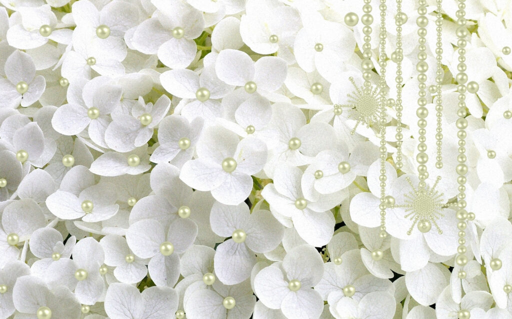 Groupe de fleurs blanches Groupe de fleurs blanches