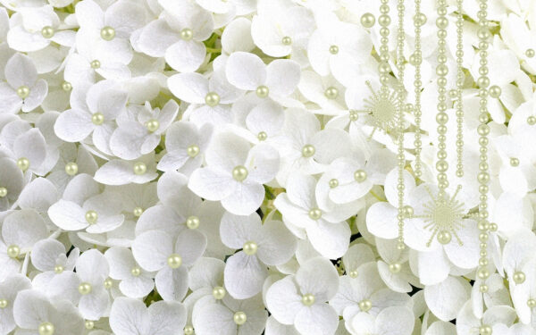Groupe de fleurs blanches Groupe de fleurs blanches