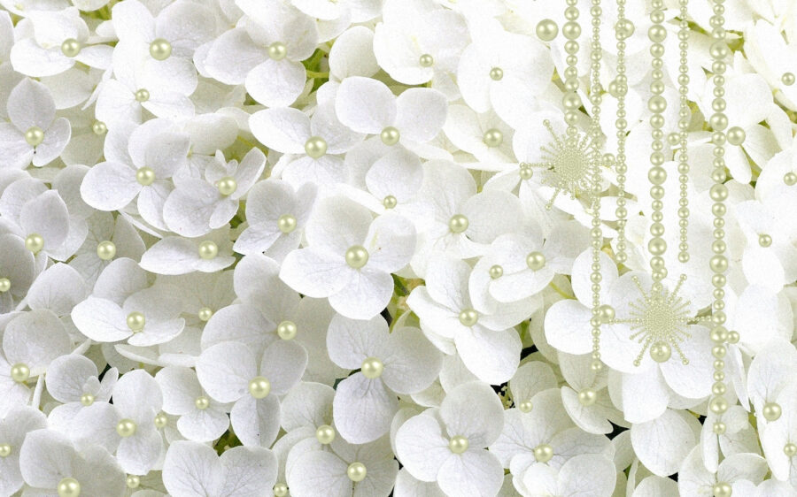 Groupe de fleurs blanches