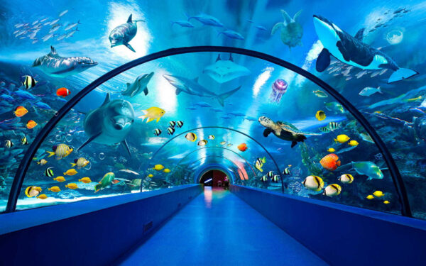 Tunnel avec poissons et animaux Tunnel avec poissons et animaux