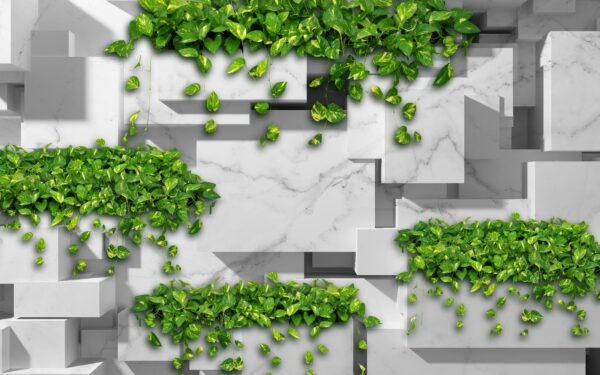 Mur avec des feuilles vertes Mur avec des feuilles vertes