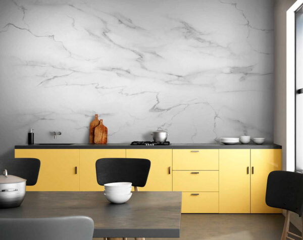 Marbre blanc avec veines noires Marbre blanc avec veines noires