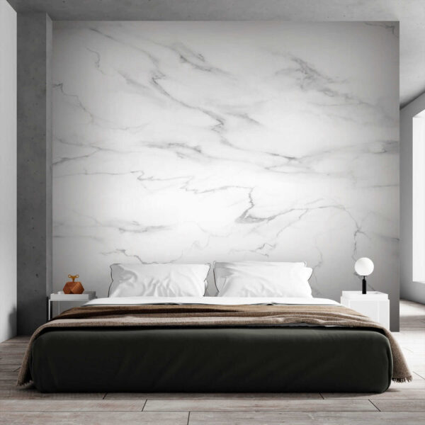 Marbre blanc avec veines noires Marbre blanc avec veines noires