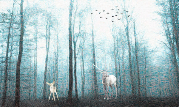 Cerf dans les bois Cerf dans les bois