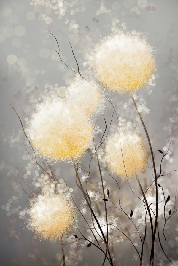 Groupe de fleurs blanches et jaunes Groupe de fleurs blanches et jaunes