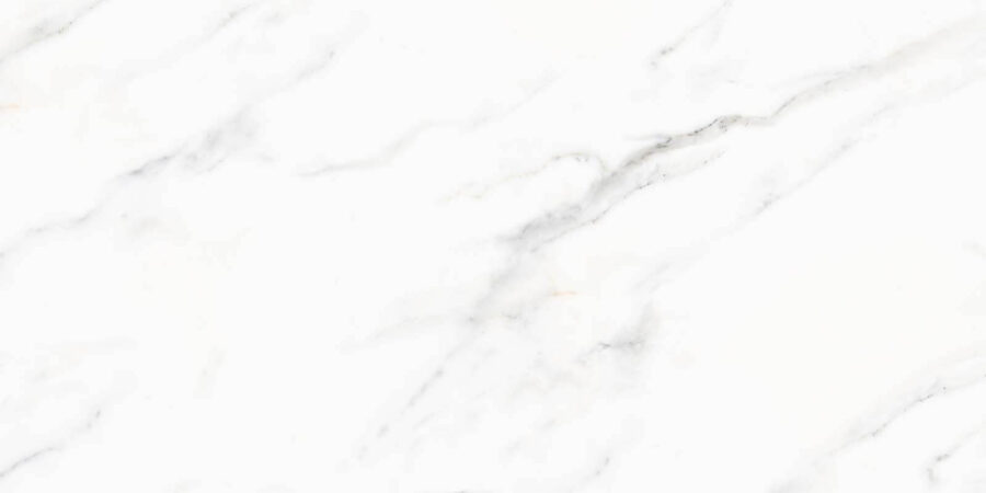 Surface en marbre blanc avec des veines noires Surface en marbre blanc avec des veines noires