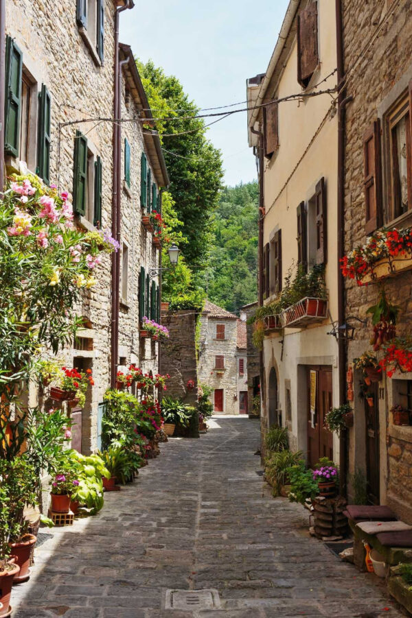 Rue étroite avec des fleurs et des plantes sur le côté Rue étroite avec des fleurs et des plantes sur le côté