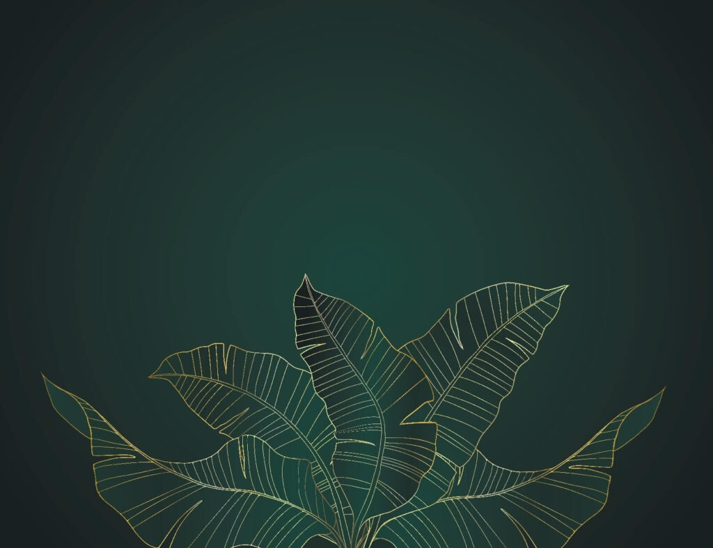 Feuilles élégantes sur fond sombre Feuilles élégantes sur fond sombre