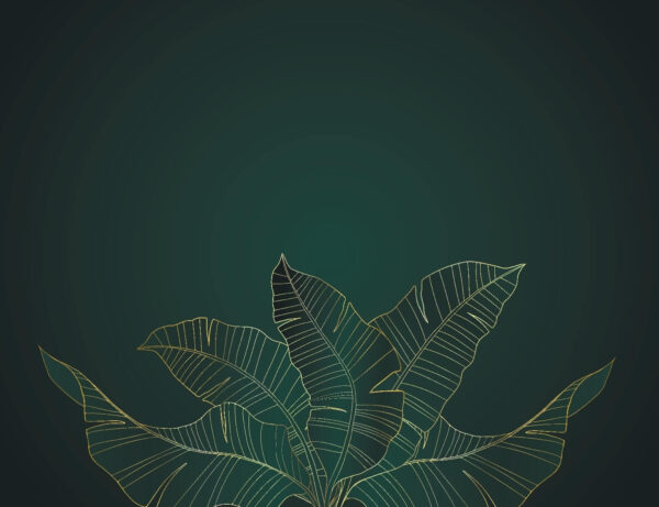 Feuilles élégantes sur fond sombre Feuilles élégantes sur fond sombre