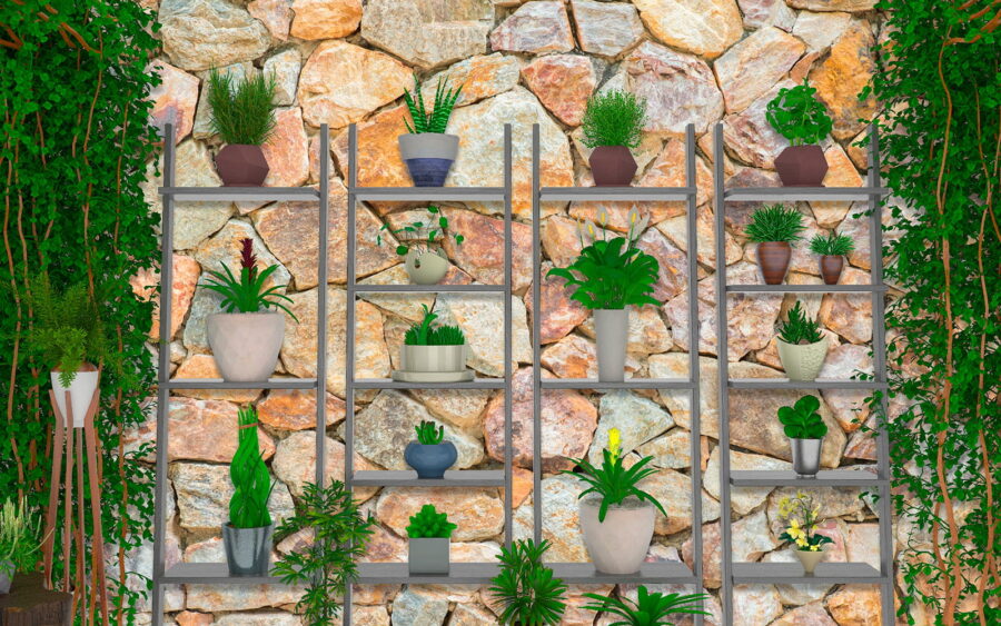Groupe de plantes sur des étagères