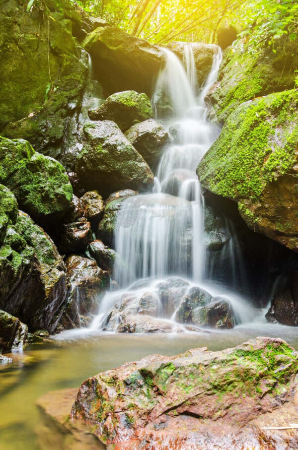 Cascade sur des rochers avec de la mousse Cascade sur des rochers avec de la mousse