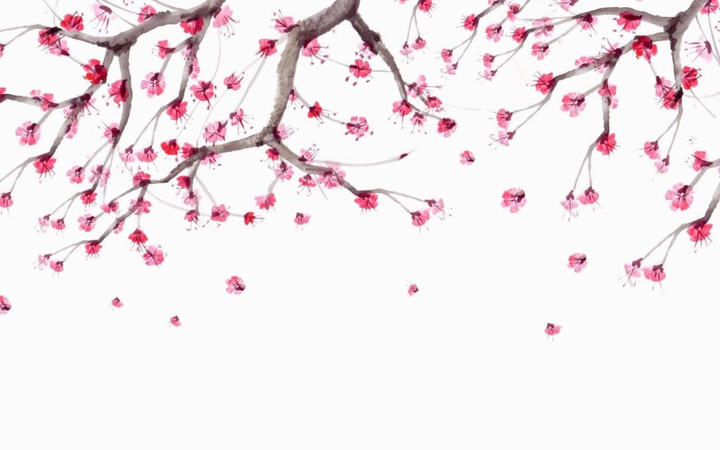 Arbre aux fleurs roses Arbre aux fleurs roses