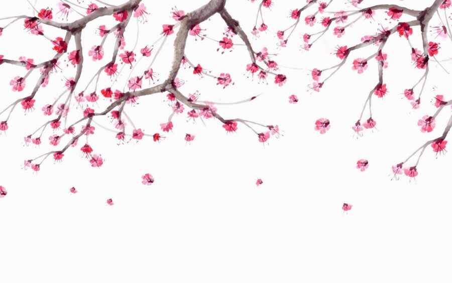 Arbre aux fleurs roses u28004p 900x563 - Arbre aux fleurs roses - tegory