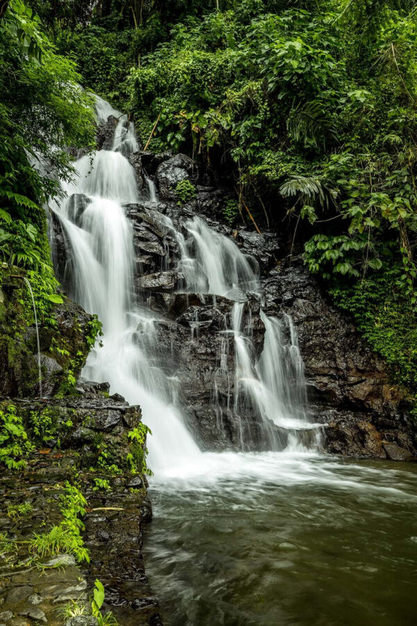 Chute d'eau au milieu d'une forêt Chute d'eau au milieu d'une forêt